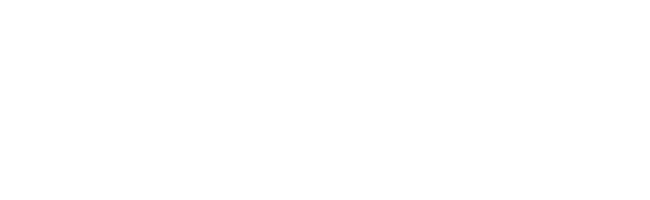 North Delta logo